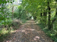 Superb Property with Wooded Park near Villefagnan