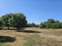 Lovely Bungalow on a Large Plot of Land with No Overlooking Neighbours