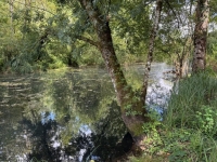 A Rare Find: 3-Bedroom Riverside Home in Taizé-Aizie. Land of 7645m²