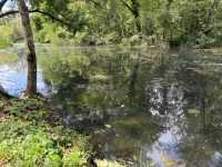 A Rare Find: 3-Bedroom Riverside Home in Taizé-Aizie. Land of 7645m²
