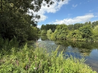 A Rare Find: 3-Bedroom Riverside Home in Taizé-Aizie. Land of 7645m²