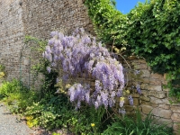 Beautiful 5-Bedroom Stone House For Sale near Sauzé-Vaussais