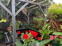 Nanteuil-en-Vallée. Beautiful 2-Bedroom Bungalow with Landscaped Garden and Plunge Pool
