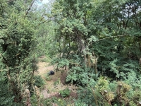 A Rare Find: 3-Bedroom Riverside Home in Taizé-Aizie. Land of 7645m²