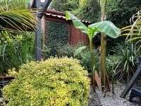 Nanteuil-en-Vallée. Beautiful 2-Bedroom Bungalow with Landscaped Garden and Plunge Pool