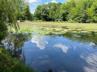 Pavillon sur Sous-sol avec Beau Jardin en Bordure de Charente