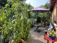 Nanteuil-en-Vallée. Beautiful 2-Bedroom Bungalow with Landscaped Garden and Plunge Pool