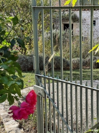 Belle Maison Ancienne de 3 Chambres et Beau Jardin Mature