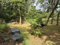 A Rare Find: 3-Bedroom Riverside Home in Taizé-Aizie. Land of 7645m²