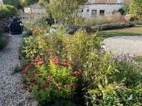 Belle Maison Ancienne de 3 Chambres et Beau Jardin Mature