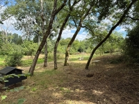 A Rare Find: 3-Bedroom Riverside Home in Taizé-Aizie. Land of 7645m²
