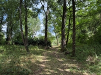 A Rare Find: 3-Bedroom Riverside Home in Taizé-Aizie. Land of 7645m²