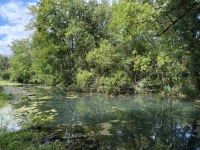 A Rare Find: 3-Bedroom Riverside Home in Taizé-Aizie. Land of 7645m²