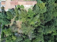 Superb Property with Wooded Park near Villefagnan