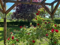 Charming Country House For Sale with An Attached Barn