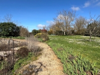 Immaculate 3 Bedroom Stone House with Enclosed Garden and Stone Barn