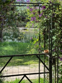 Fabulous 3 Bedroom Character Property With Gorgeous Gardens Leading Towards The River