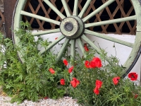 Beautiful Village House, Lovely Exterior And GîtePotential