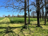 A Beautifully Bright And Spacious Country Property With Outbuildings on Over 4 Acres