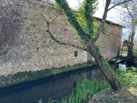 Magnifique Fermette de Campagne Sans Voisins Proches Sur 8000m²