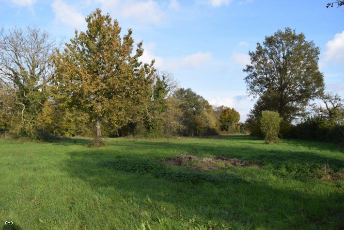 Building Plot For Sale Near Ruffec on 4700m²