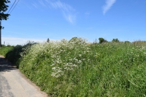 Terrain A Bâtir Sur 2782m² Secteur Nanteuil En Vallée