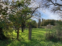 Longère avec grange attenante et nombreuses dépendances