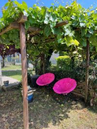 Pretty 3 Bedroom House with Courtyard And Extra Land Close By