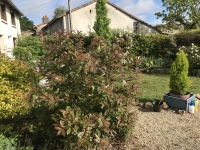 Pretty 4 Bedroomed Cottage Near Civray