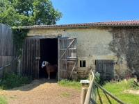 Ancienne Ferme avec Grand Terrain près de Civray