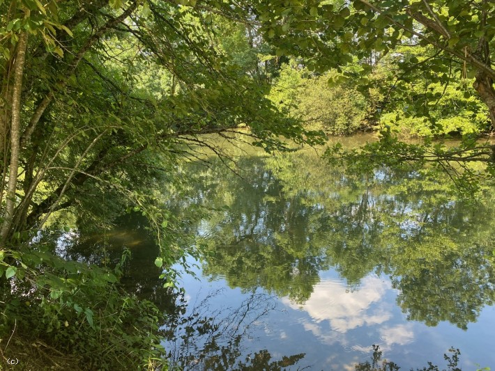 A SAISIR! Beau Terrain de Loisir à Verteuil sur Charente Cloturé Avec Accès Rivière