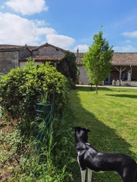 Comfortable 3 Bedroom Stone Property For Sale With Enclosed Gardens