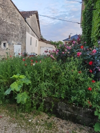 Comfortable 3 Bedroom Stone Property For Sale With Enclosed Gardens