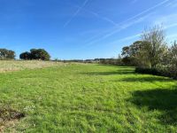 Jolie Maison Ancienne Avec Garage Et Terrain De Plus D'Un Hectare