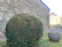 Beautiful Farmhouse and Outbuildings near to Villefagnan
