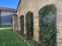 Beautiful Farmhouse and Outbuildings near to Villefagnan