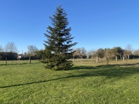 Beautiful Farmhouse and Outbuildings near to Villefagnan