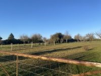 Beautiful Farmhouse and Outbuildings near to Villefagnan