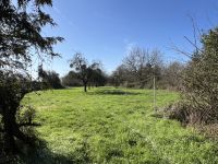 Belle Maison en Pierre avec Grand Jardin et Beaux Potentiels