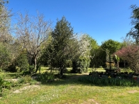 Two-House Property with Wooded Park – Charm & Serenity by the Charente River