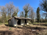 Grande Maison Ancienne Avec Gîte Et Superbe Terrain