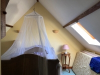 Two-House Property with Wooded Park – Charm & Serenity by the Charente River