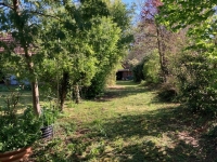 Two-House Property with Wooded Park – Charm & Serenity by the Charente River