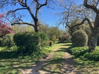 Two-House Property with Wooded Park – Charm & Serenity by the Charente River