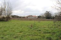 Old Farmstead On 8961m² Near Mansle.