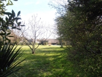Traditional Detached Stone Farmhouse With A Pool