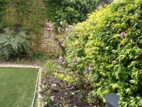 Exclusive! Pretty 2 Bedroomed Cottage With Courtyard/Garden and Orchard