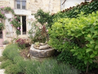 Exclusive! Pretty 2 Bedroomed Cottage With Courtyard/Garden and Orchard