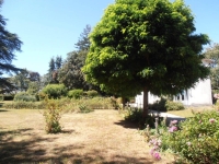 Charming 4 Bedroomed Property With A Beautiful Mature Garden