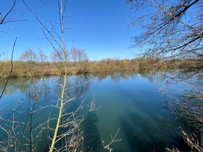 Leisure Plot With River Access - 2365m² - Near Verteuil sur Charente